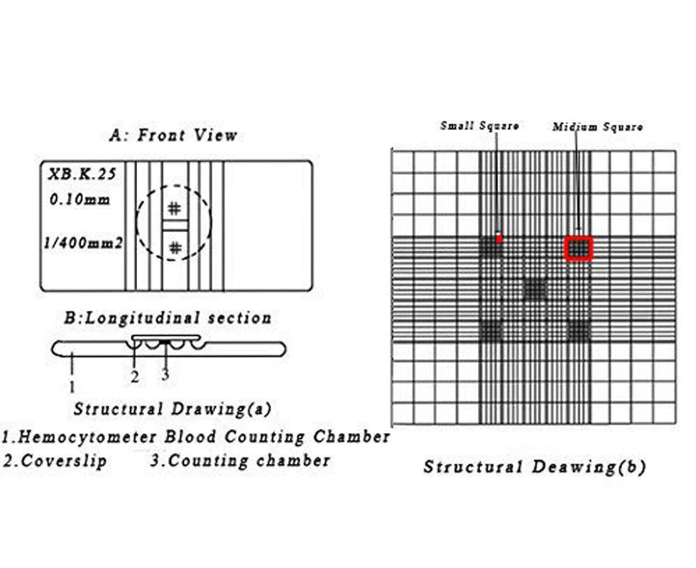 Lab Hospital  Blood Counting Chamber