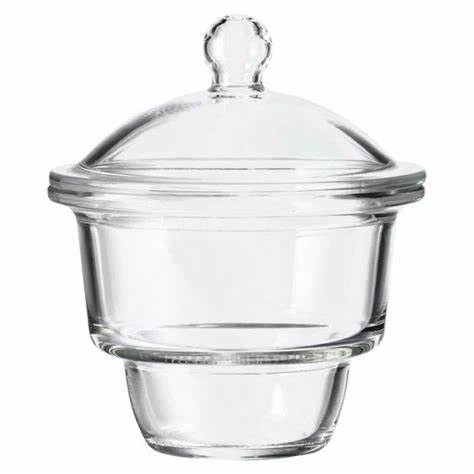 Desiccator with Porcelain Plate